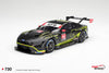 (Pre-Order) 1/18 Top Speed TS0730 Ford Mustang GT3 #64 Ford Multimatic Motorsports 2025 IMSA VIR