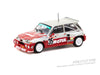 (Pre-Order) 1/64 Tarmac T64-TL061-87EHC35 Renault 5 Maxi Turbo European Hill-Climb Championship 1987 Giovanni Rossi