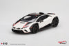 (Pre-Order) 1/18 Top Speed TS0610 Lamborghini Huracán Sterrato Bianco Asopo