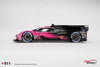 (Pre-Order) 1/18 Top Speed TS0611 Cadillac V-Series.R #01 Cadillac Racing 2024 IMSA Petit Le Mans Winner